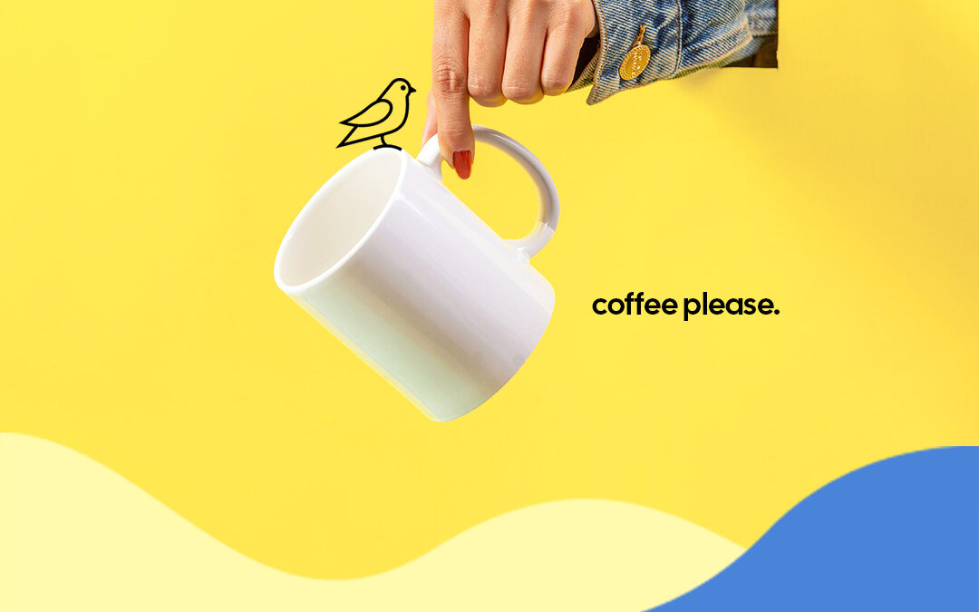 canary coffee